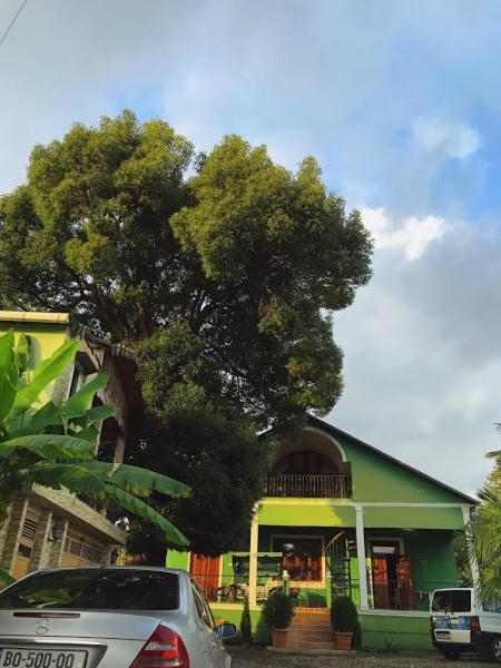 Apartment Green House Makhinjauri Exterior photo