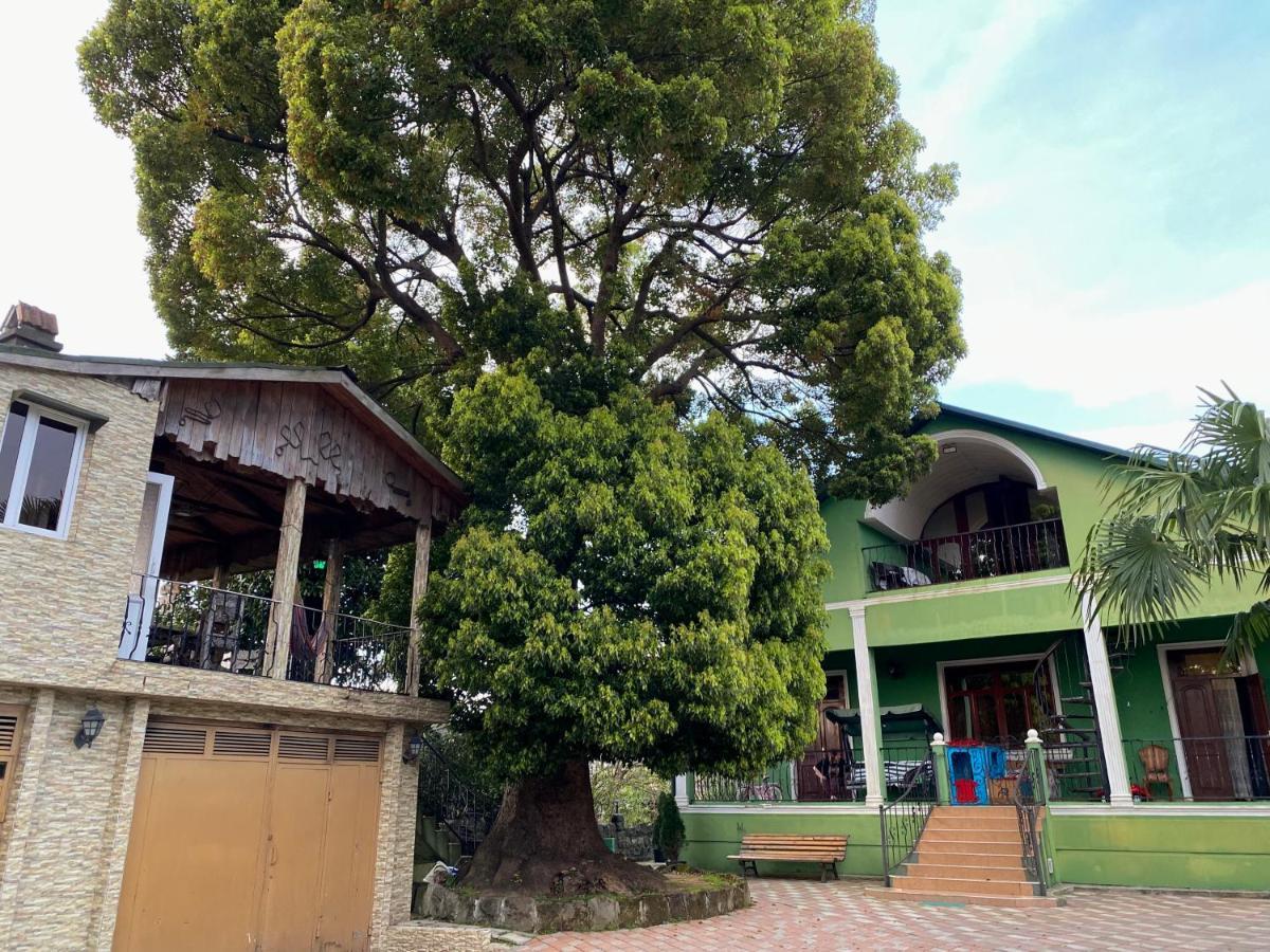 Apartment Green House Makhinjauri Exterior photo