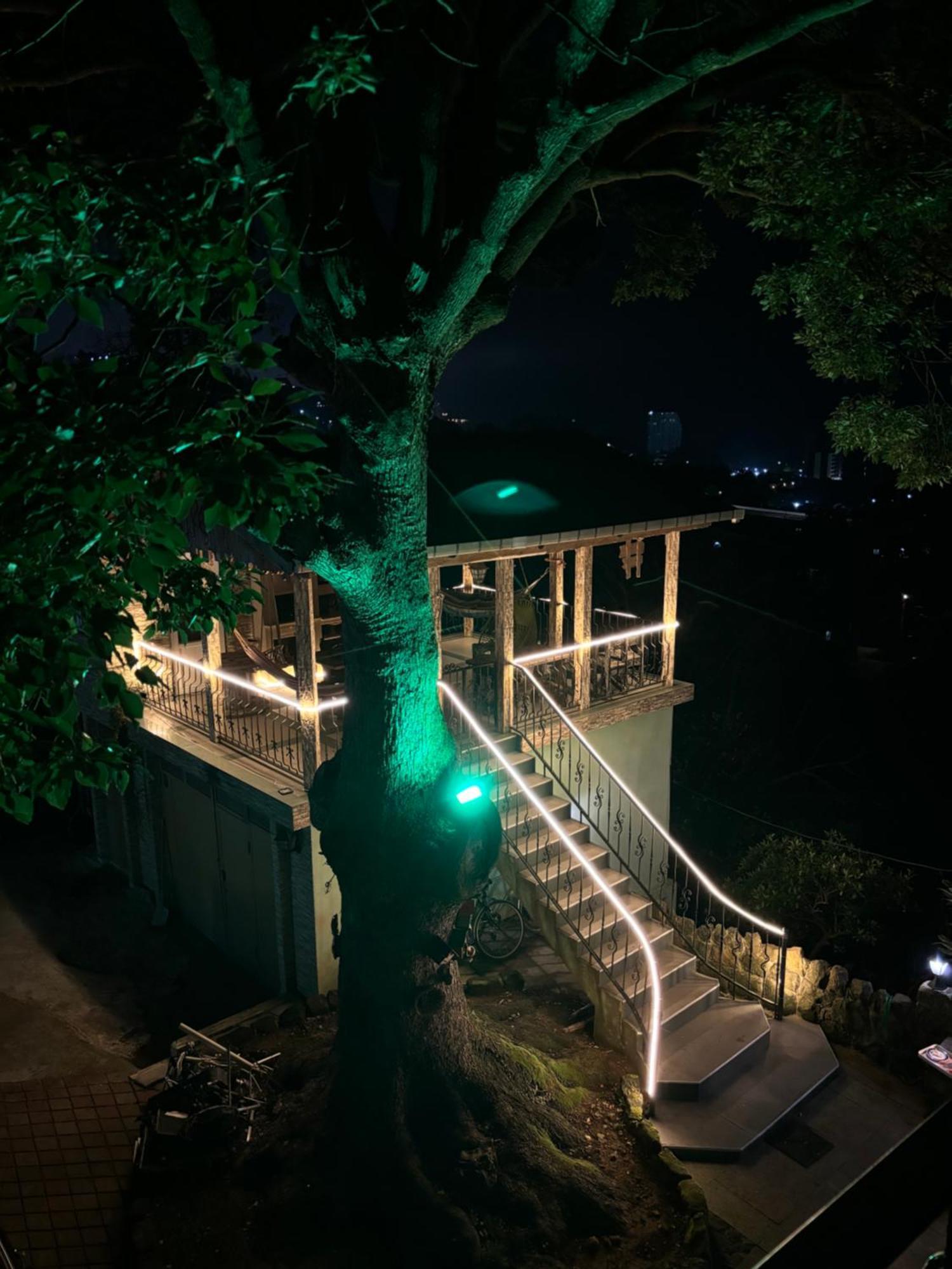Apartment Green House Makhinjauri Exterior photo